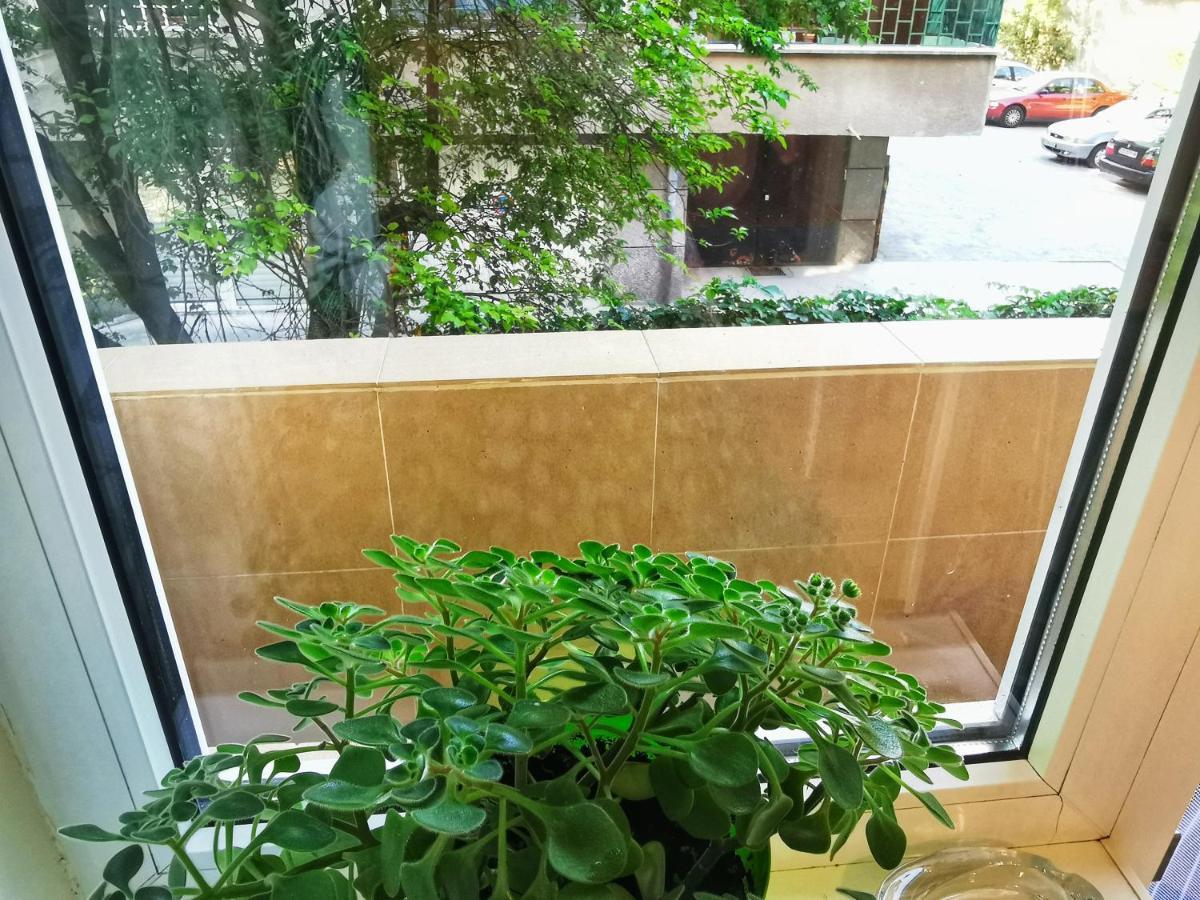 Rila Apartment Sofia Exterior photo